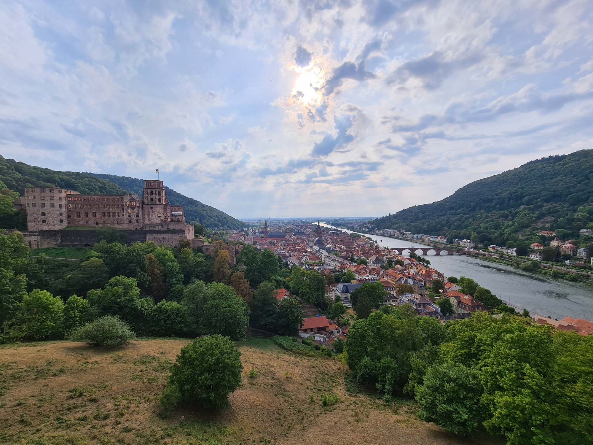 Heidelberg von der Schefflerterasse